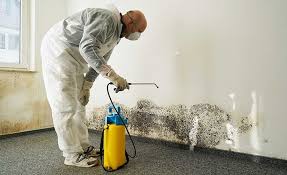 Why You Should Choose Our Mold Remediation Services in Loganville, PA